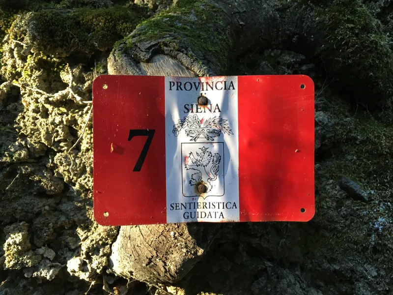 Tuscany - gallery image 19