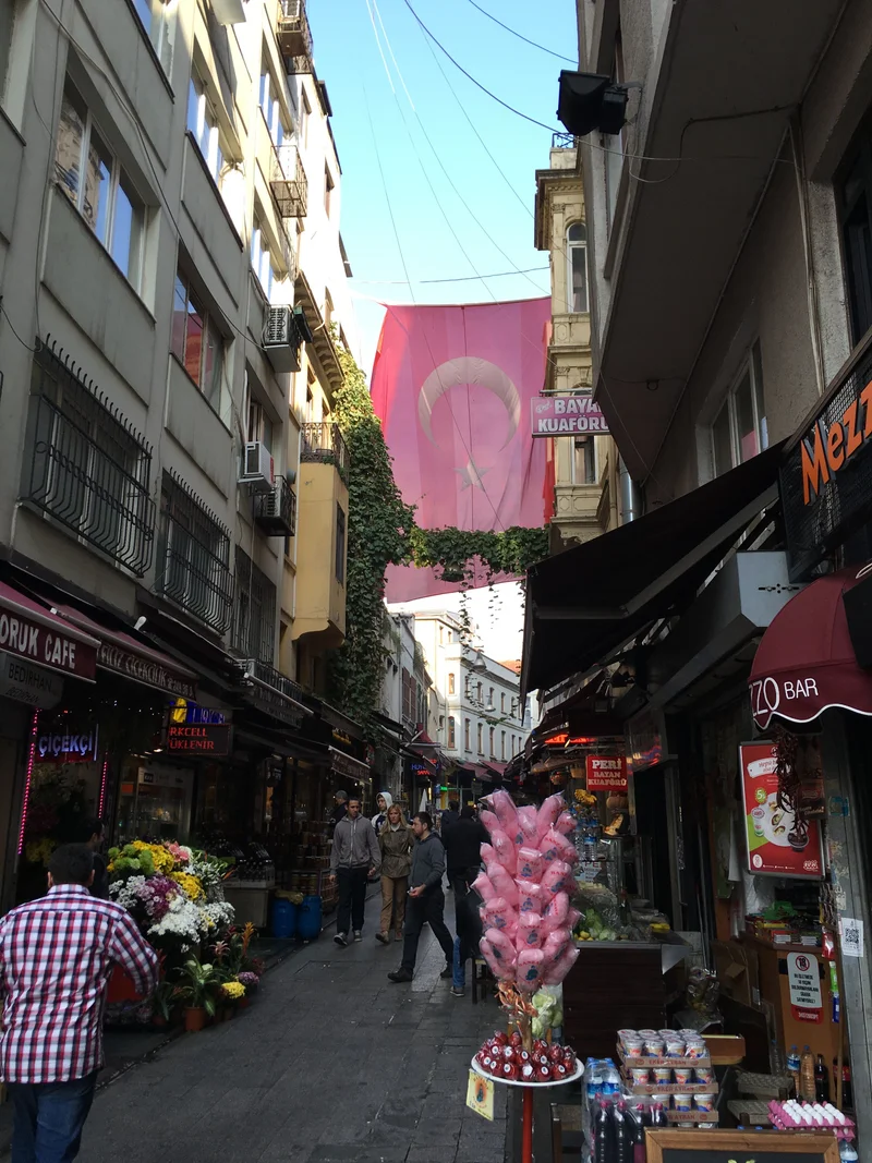 Istanbul - gallery image 10