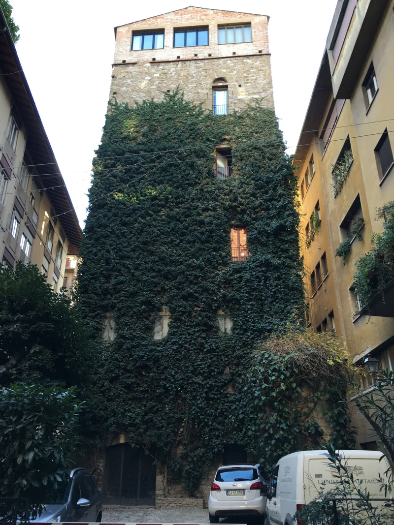 Tuscany - gallery image 11