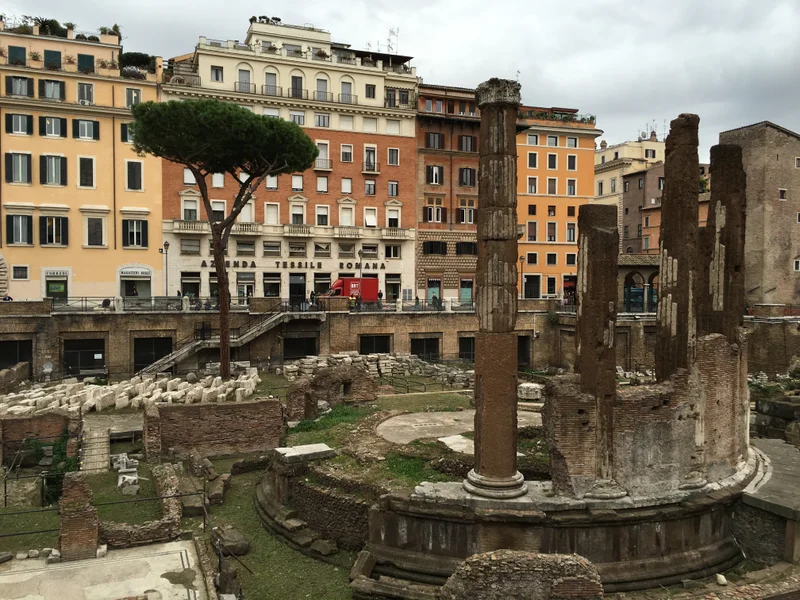 Roma - gallery image 15