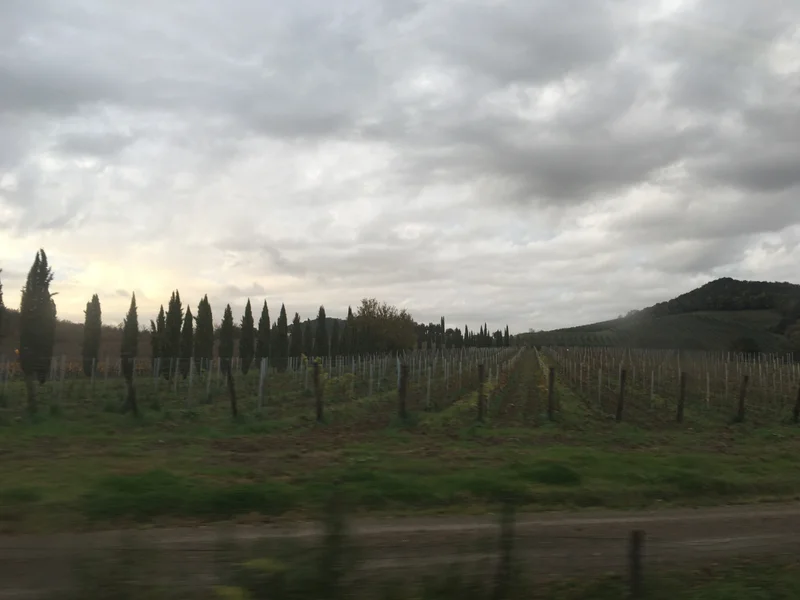 Tuscany - gallery image 26