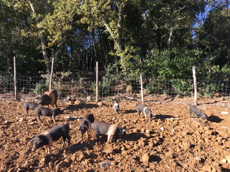 Tuscany - gallery image 5