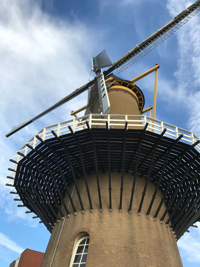 Rotterdam - gallery image 1