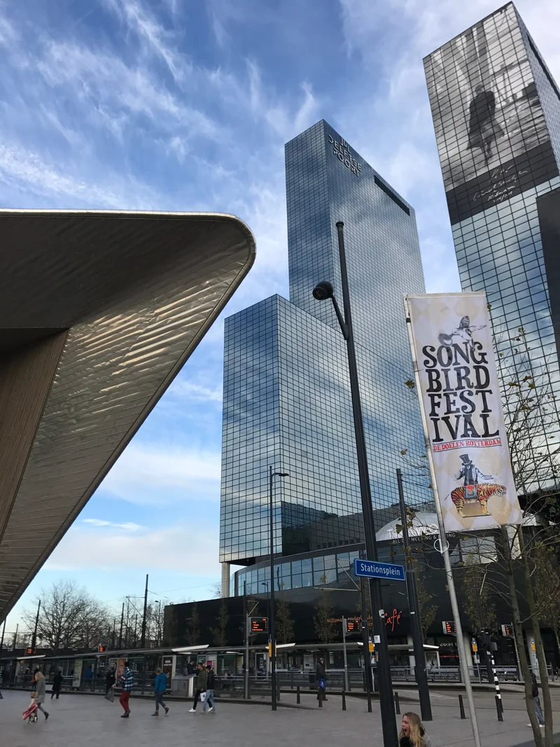 Rotterdam - gallery image 3