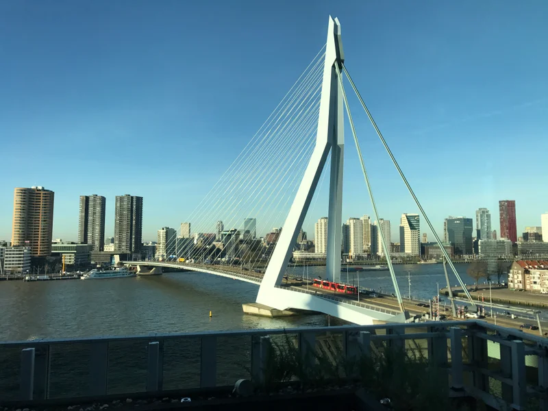 Rotterdam - gallery image 18