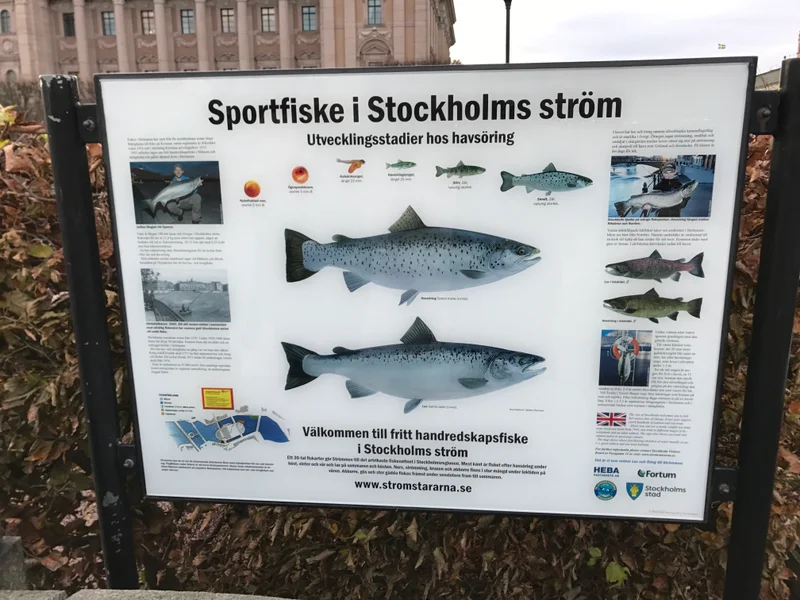 Stockholm - gallery image 6