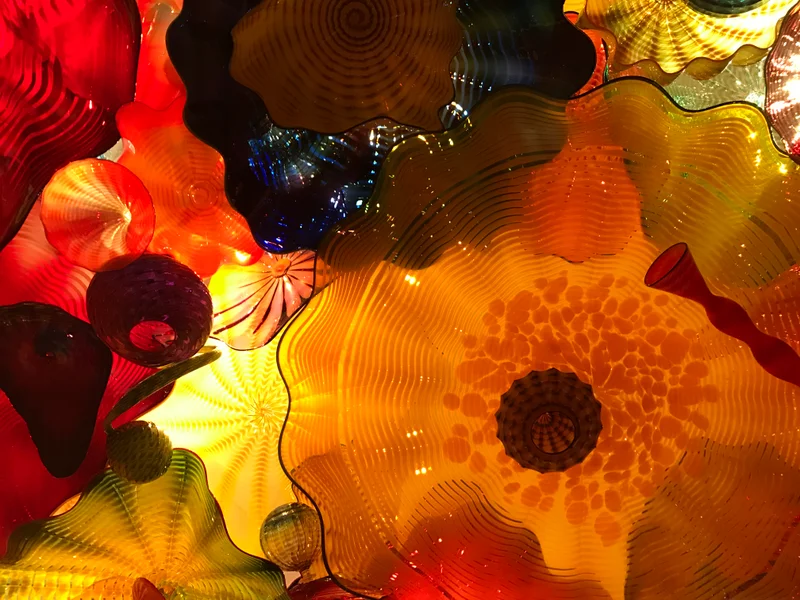 Sunny Seattle - gallery image 3