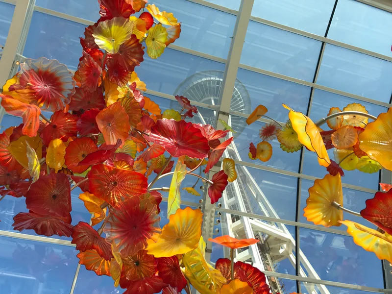 Sunny Seattle - gallery image 1