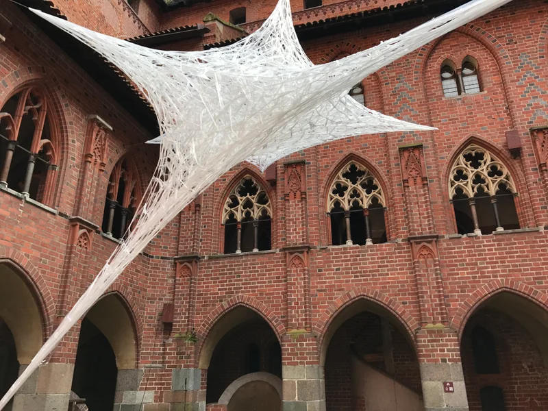 Malbork - gallery image 9