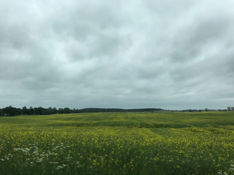 Masuria - gallery image 1