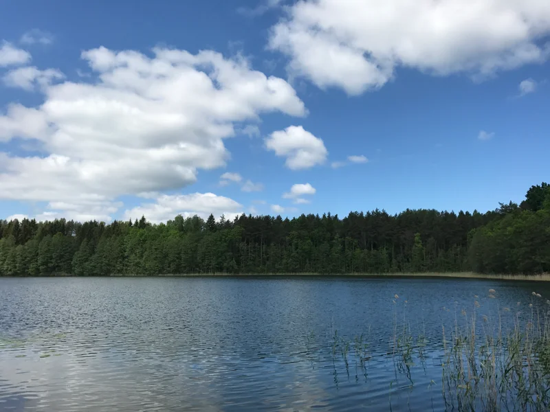 Masuria - gallery image 9