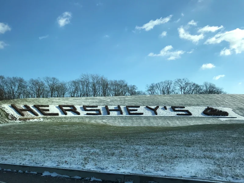 Lancaster - gallery image 2