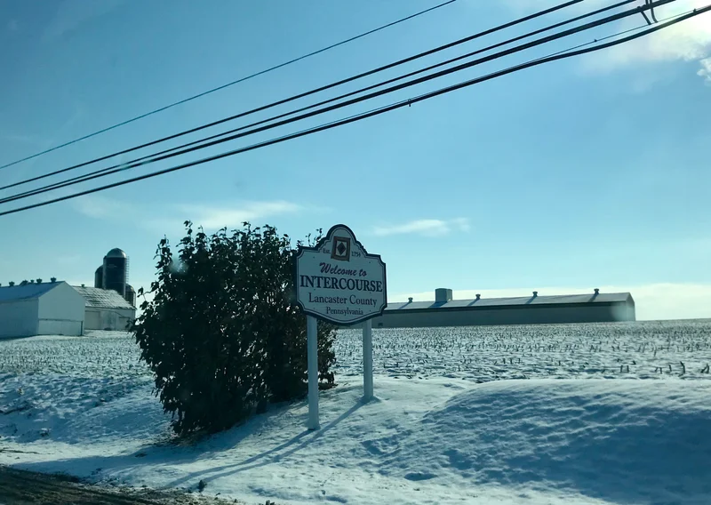 Lancaster - gallery image 4