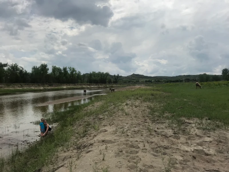 Roosevelt National Park - gallery image 9