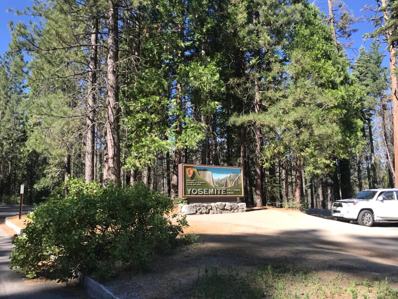 Yosemite - gallery image 7