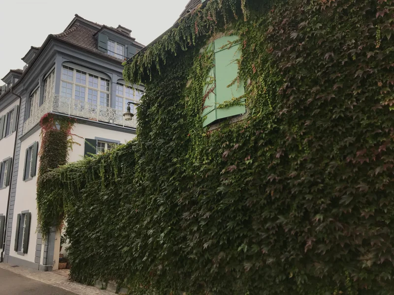 Basel - gallery image 3