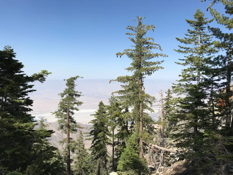 San Jacinto - gallery image 6