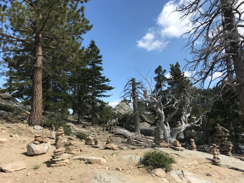 San Jacinto - gallery image 10