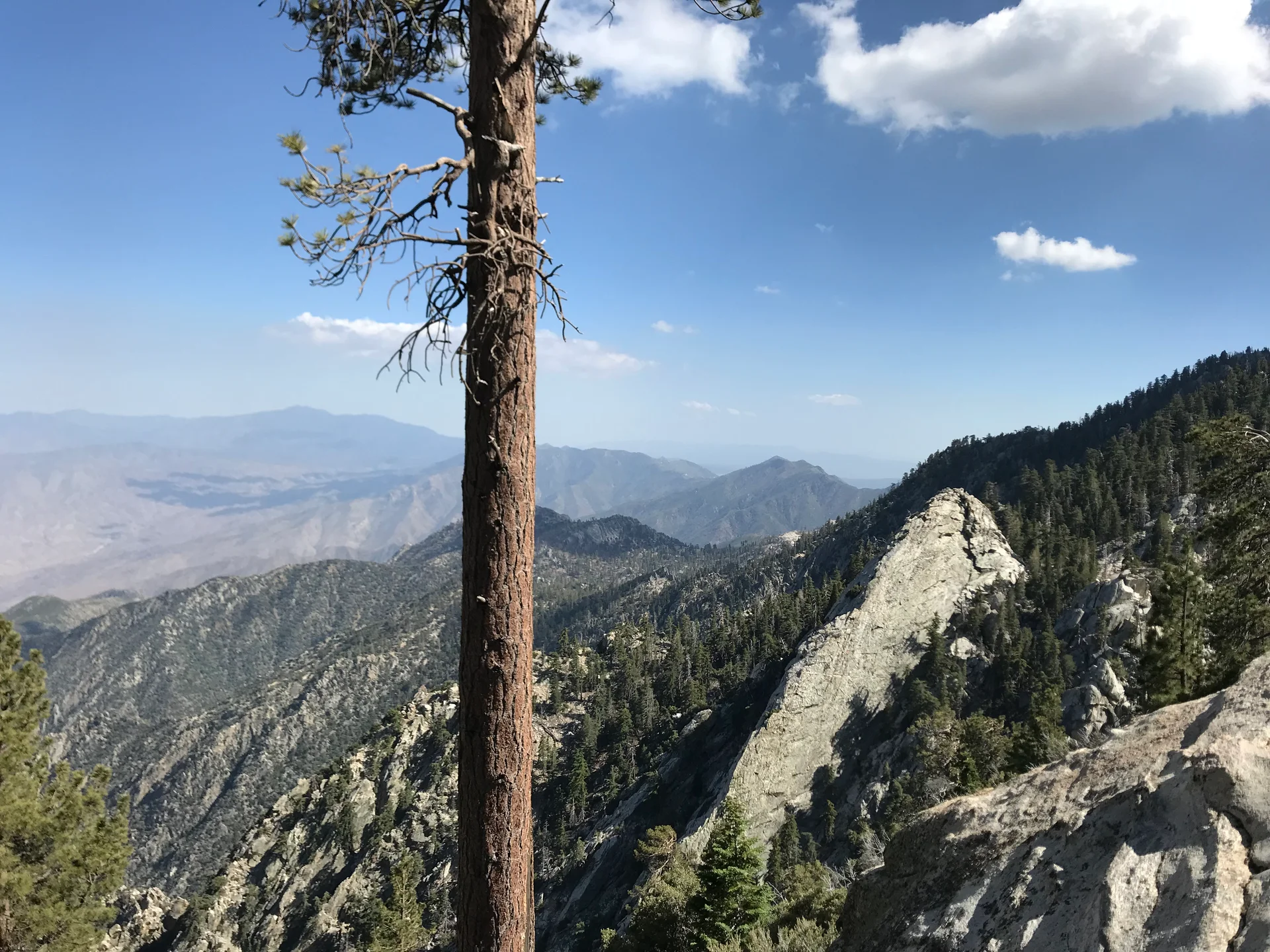 San Jacinto - feature image