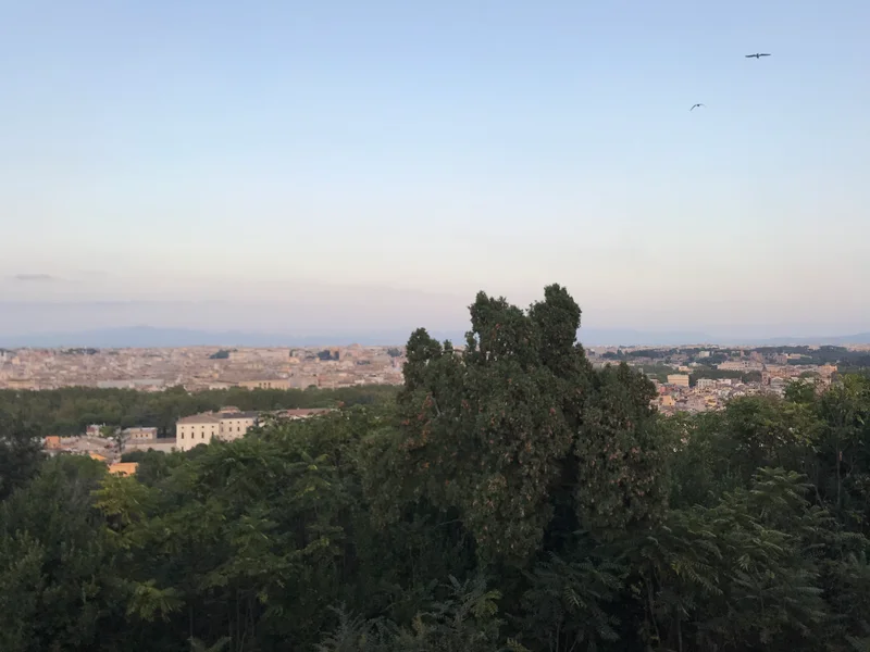 SPQR - gallery image 4