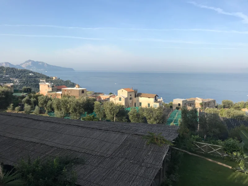 Sorrento - gallery image 6