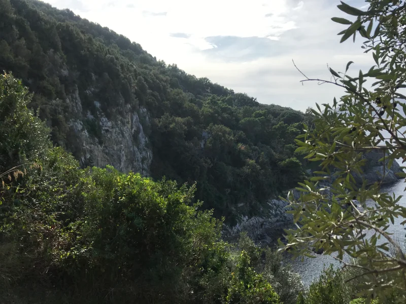 Sorrento - gallery image 15