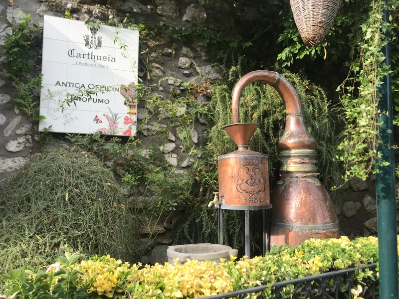 Capri - gallery image 8