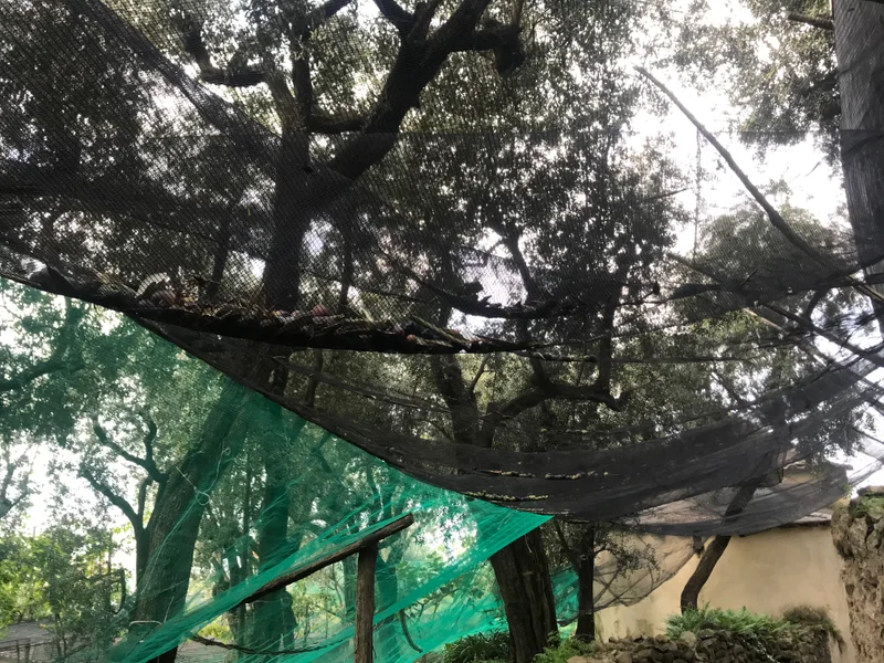 Sorrento - gallery image 13