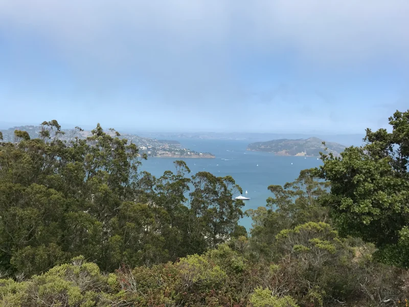 Marin Headlands - gallery image 3