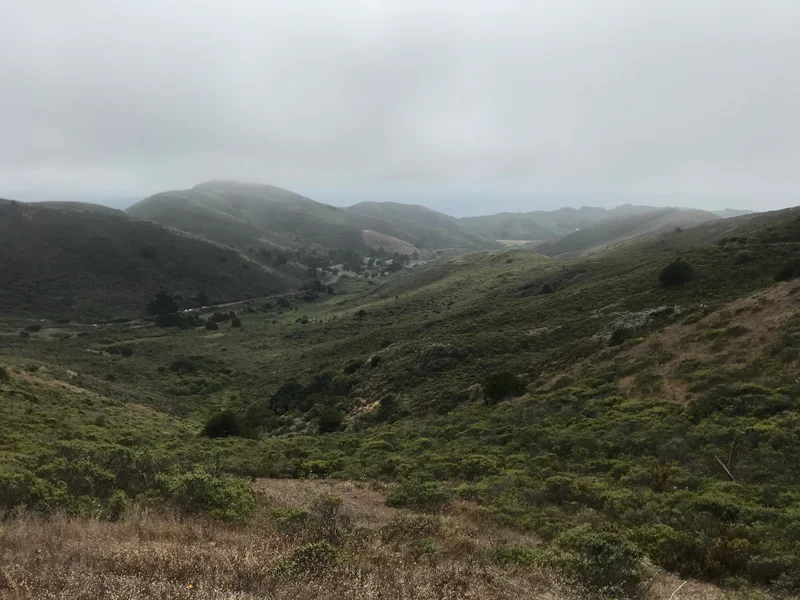 Marin Headlands - gallery image 2