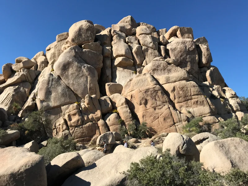 Palm Springs - gallery image 7