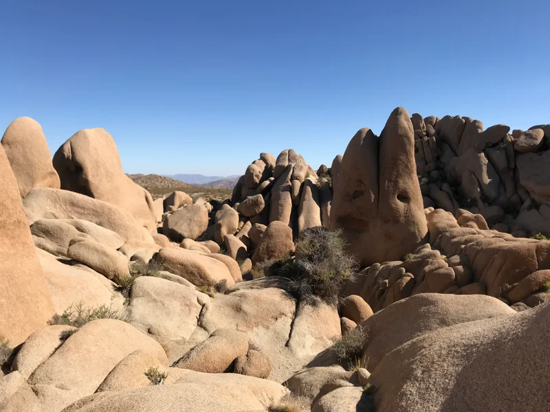 Palm Springs - gallery image 1