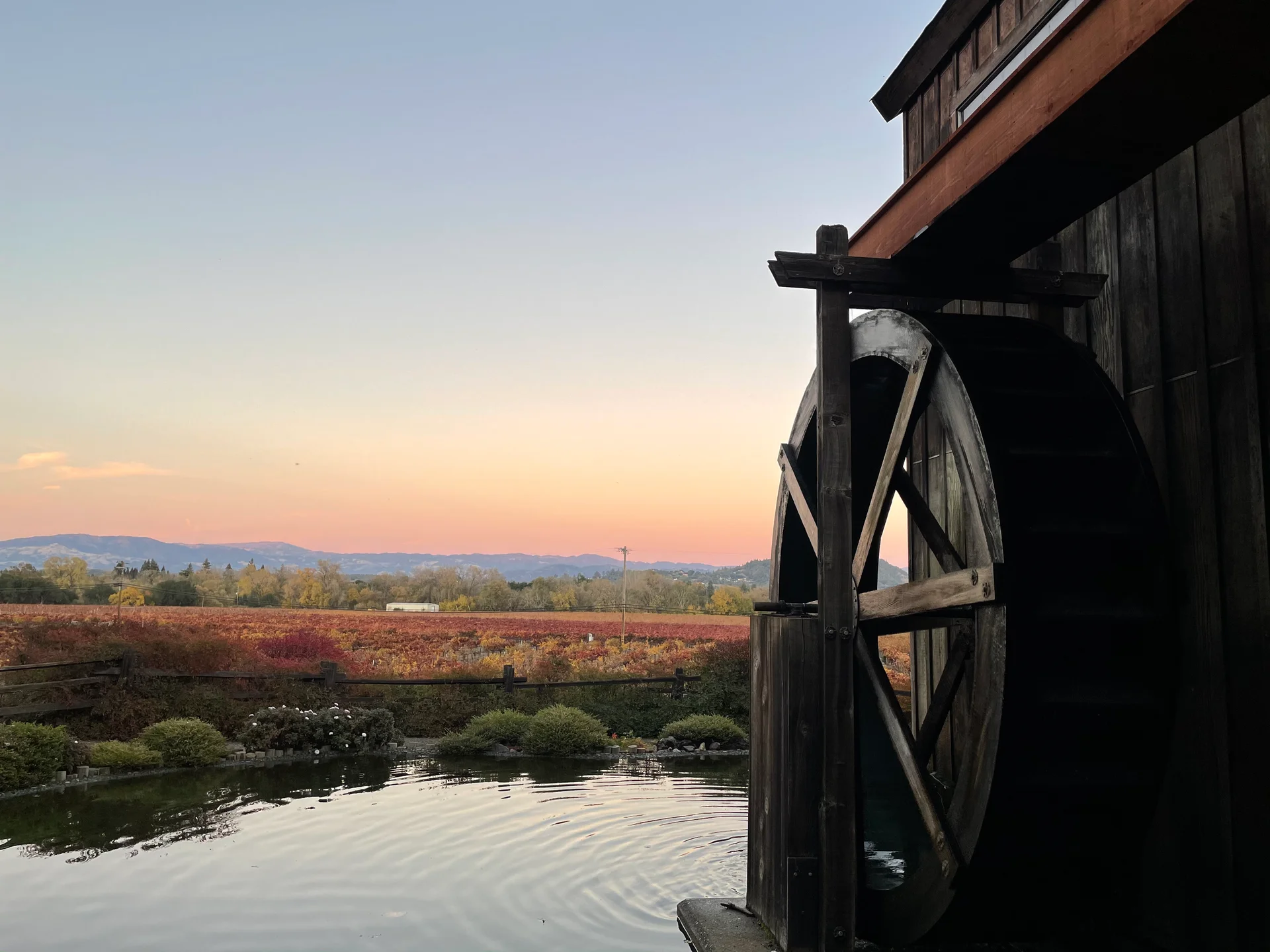 Sonoma - feature image