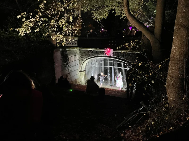 GGP Xmas - gallery image 4