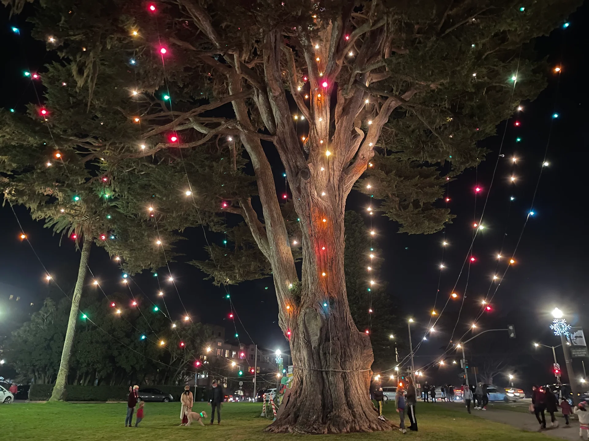 GGP Xmas - feature image