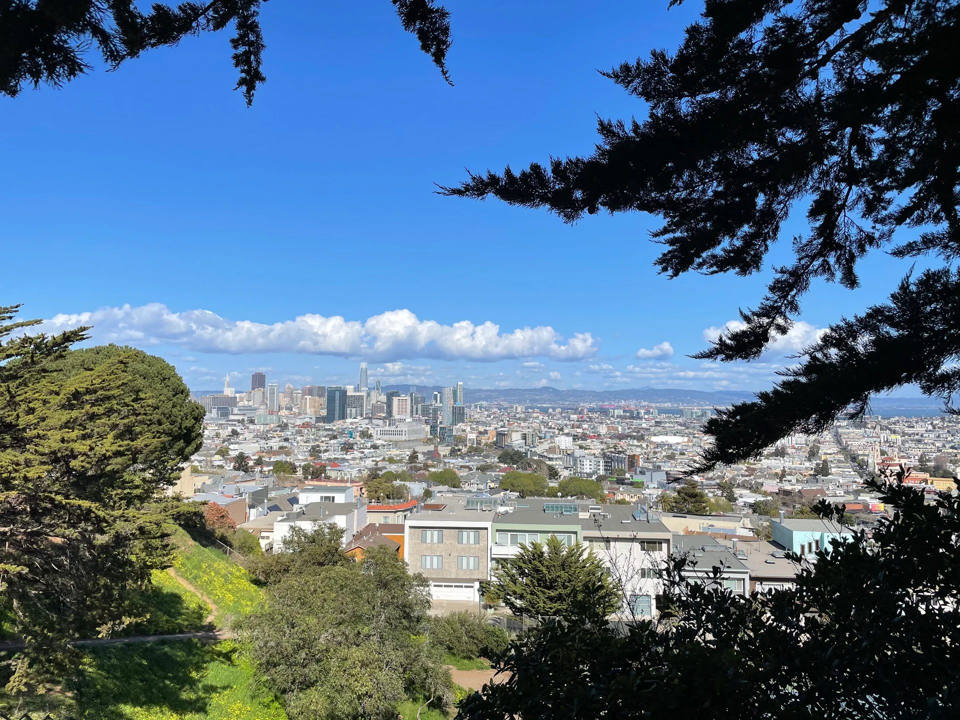 Sunny SF - feature image