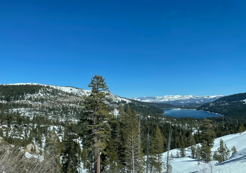 Donner - gallery image 1