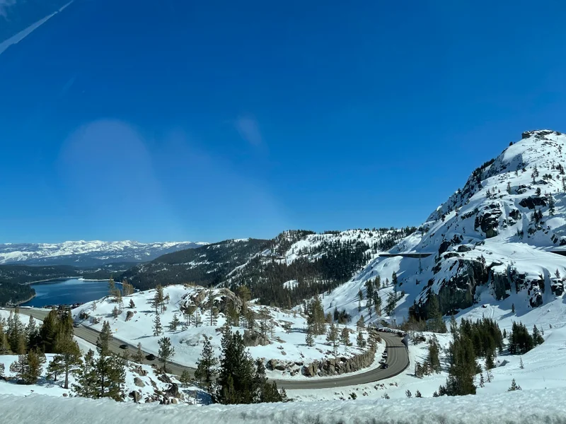 Donner - gallery image 3