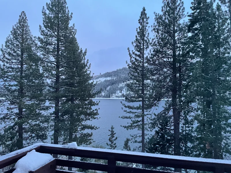 Donner - gallery image 7