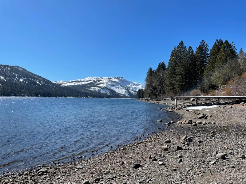 Donner - gallery image 4