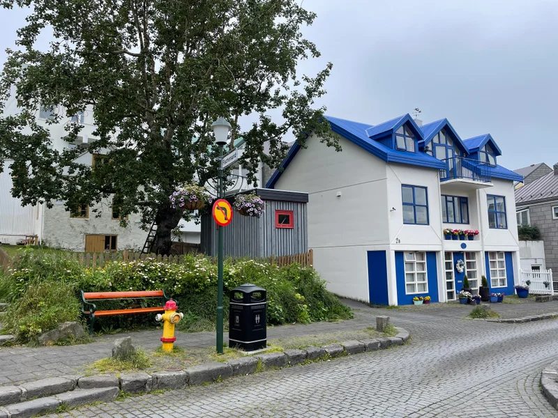 Reykjavik - gallery image 4