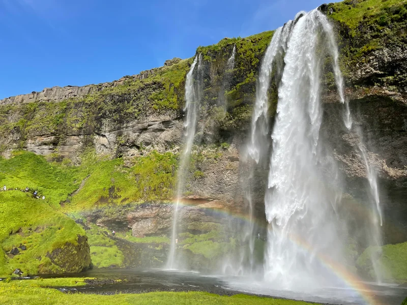 South Coast Iceland - gallery image 5