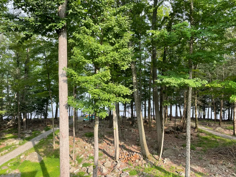 Lake Wallenpaupack - gallery image 2