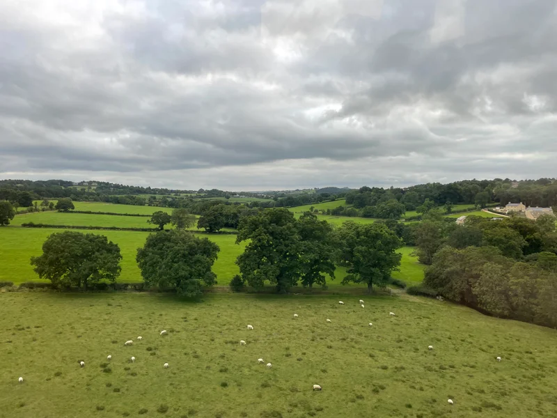 Baaaa - feature image