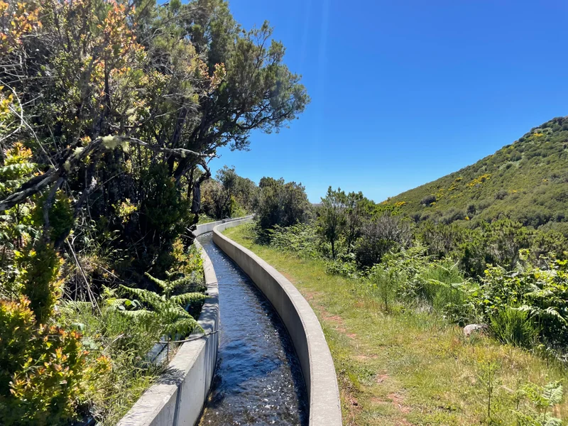 Madeira - gallery image 19