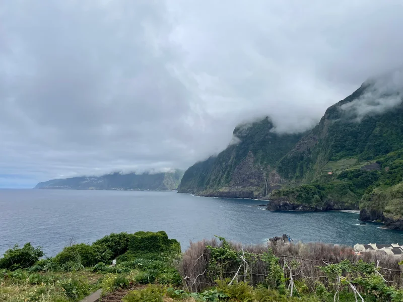 Madeira - gallery image 12