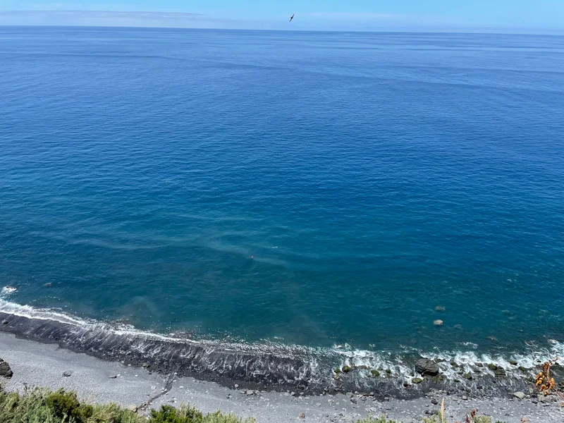 Madeira - gallery image 5