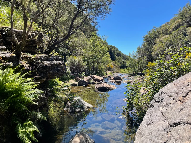 Madeira - gallery image 20