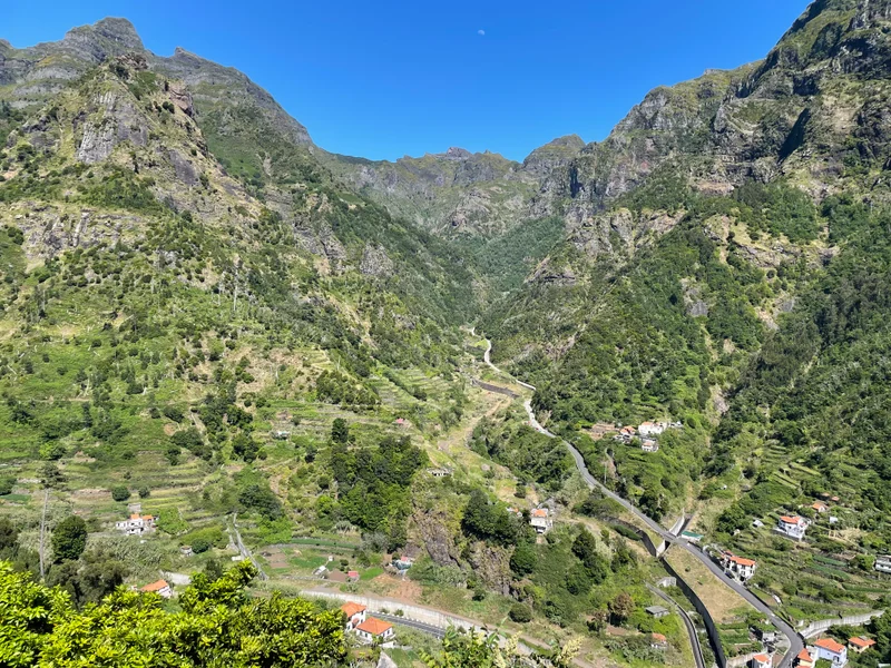 Madeira - gallery image 8