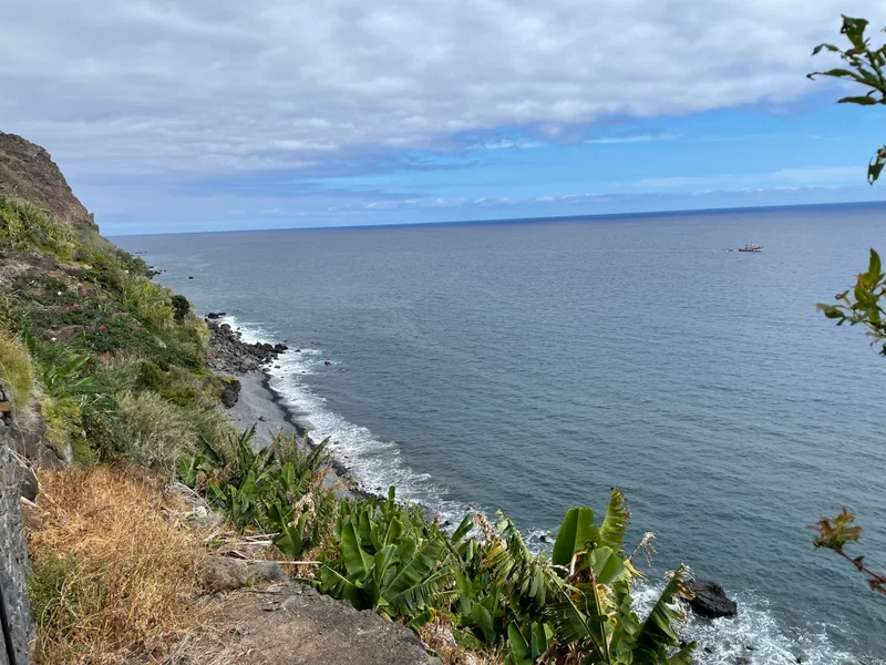 Madeira - gallery image 7